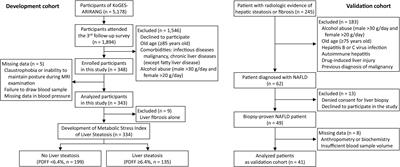 Metabolic Stress Index Including Mitochondrial Biomarker for Noninvasive Diagnosis of Hepatic Steatosis